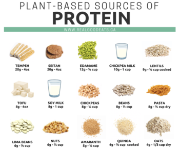 Best Sources of Plant-Based Protein