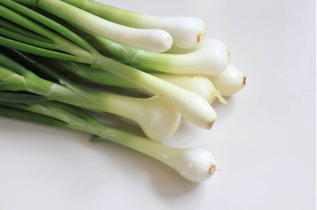 fall foods - green onion