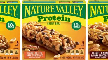 Nature Valley Protein Bar